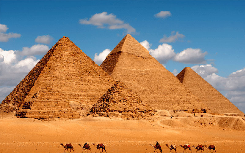 cerveja salvou o mundo